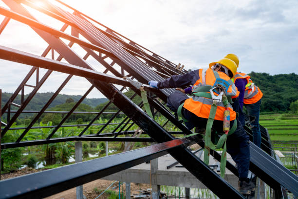 Best Metal Roofing Contractor  in Wainaku, HI