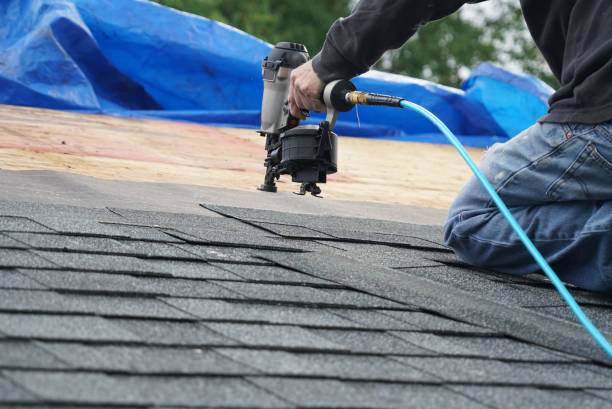 Best Shingle Roofing Installation  in Wainaku, HI