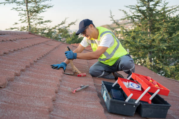 Slate Roofing Contractor in Wainaku, HI